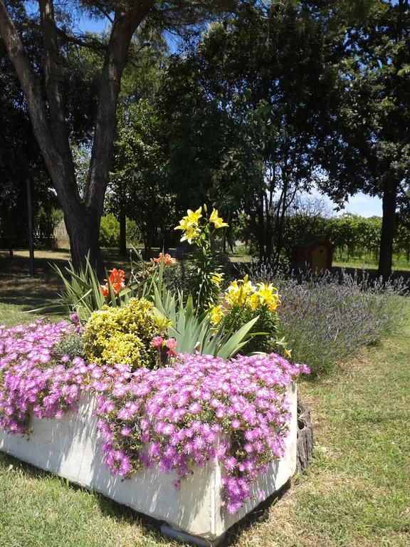 Valle Rillo Agriturismo Vila Comacchio Exterior foto