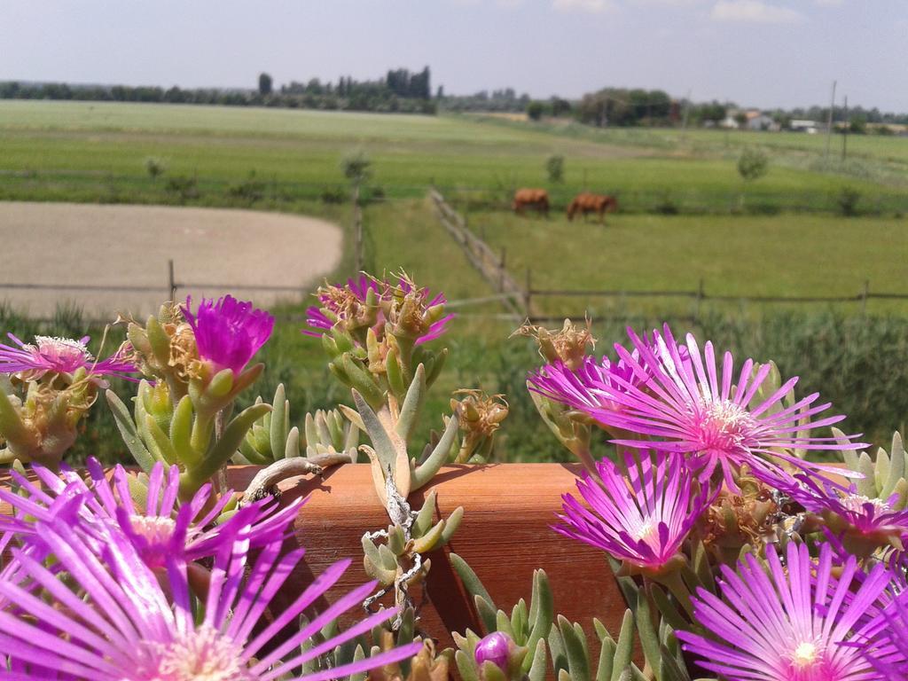 Valle Rillo Agriturismo Vila Comacchio Exterior foto