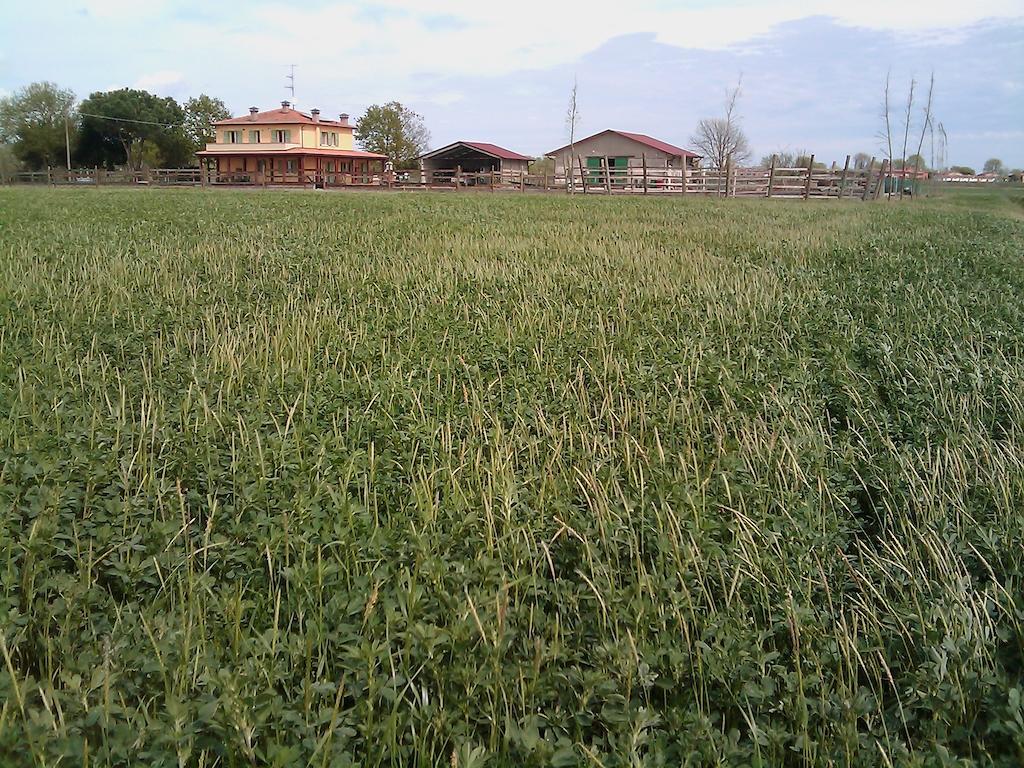 Valle Rillo Agriturismo Vila Comacchio Exterior foto