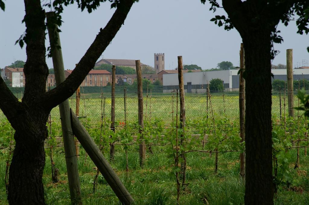 Valle Rillo Agriturismo Vila Comacchio Exterior foto